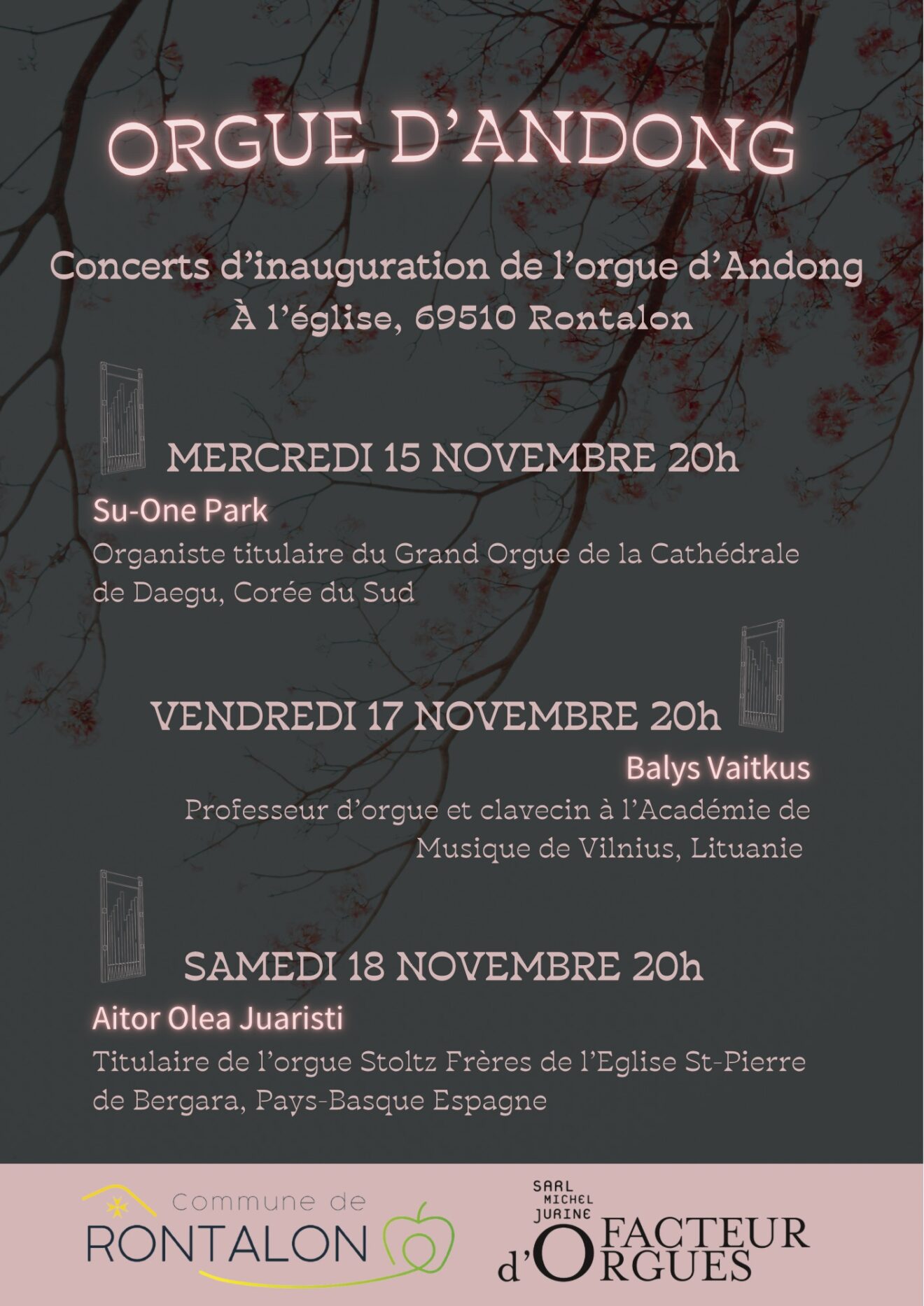 flyer concerts orgue rontalon