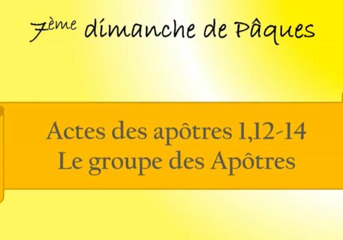 7epaquesa 1elect