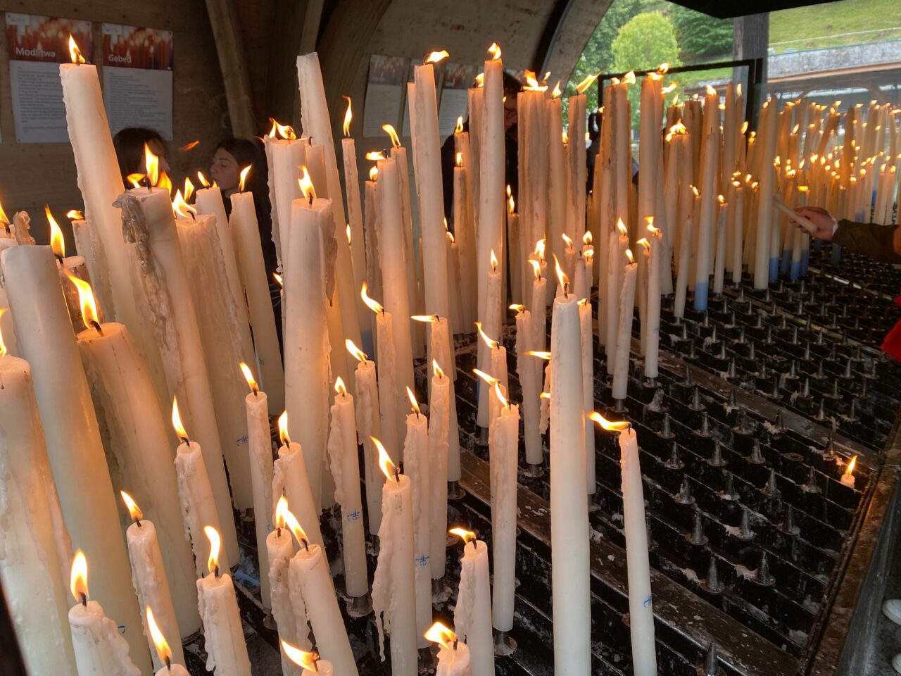 lourdes 2026 9
